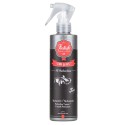 FicTech Car Gliss sellante de coche en spray con SiO2 300 mL