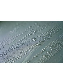 VONIXX SINERGY PAINT Coating de pintura 500 mL