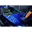 VONIXX SINERGY PAINT Coating de pintura 500 mL
