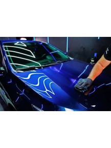 VONIXX SINERGY PAINT Coating de pintura 500 mL
