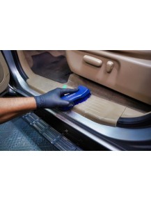 VONIXX SINTRA PRO Limpiador de Interiores con Bactericida