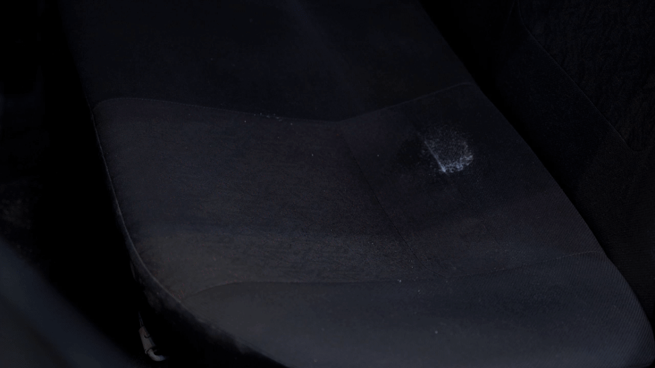 gif-extractus.gif
