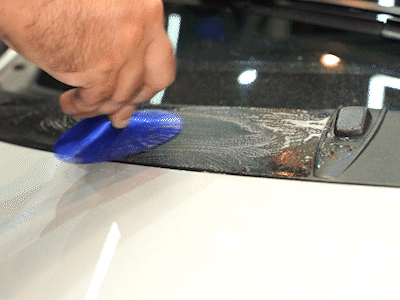 VONIXX Kit de 5 Brochas Detailing Exterior