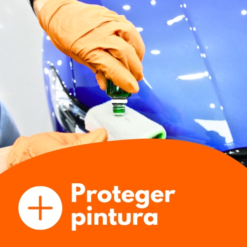 Proteger pintura
