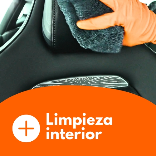Limpieza interior